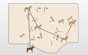 Equestrian course