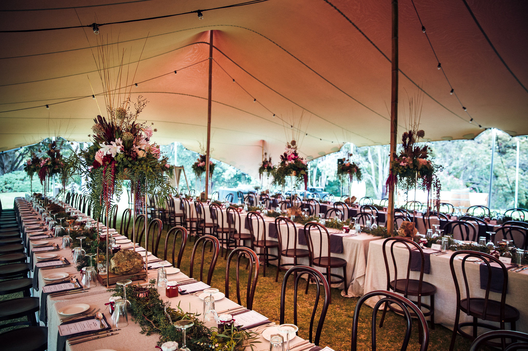 Rows of wedding seats